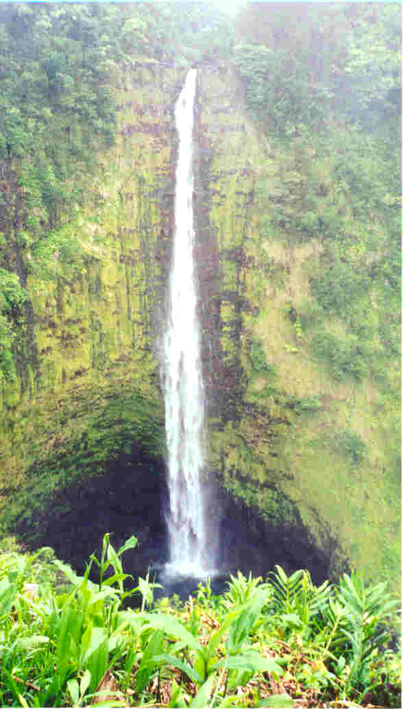Akaka Falls; Actual size=240 pixels wide