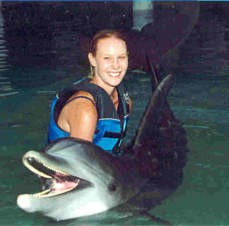 dolphin; Actual size=130 pixels wide