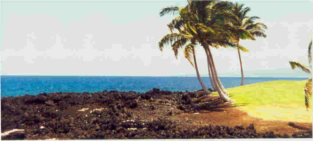 Big Island; Actual size=130 pixels wide