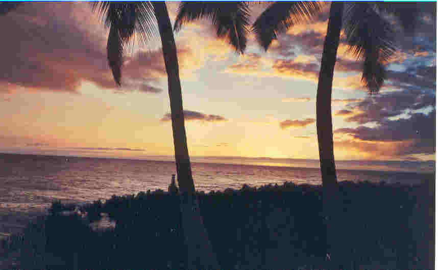 sunset2.jpg