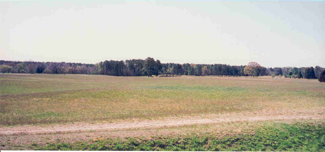 yorktown3.jpg